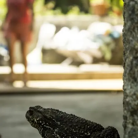 Moinho Do Prado